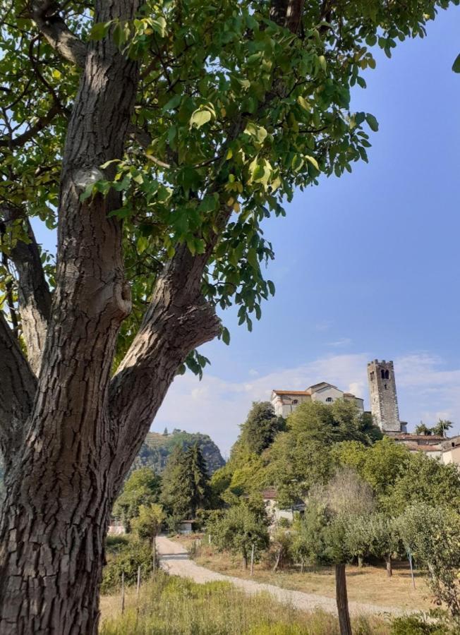 La Locanda Di Nonna Jolanda Apartment Borgo a Mozzano Bagian luar foto