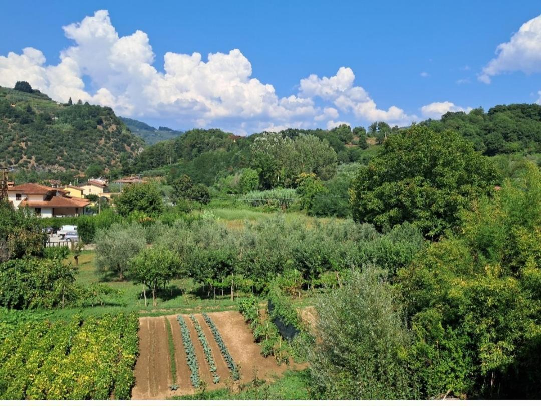 La Locanda Di Nonna Jolanda Apartment Borgo a Mozzano Bagian luar foto